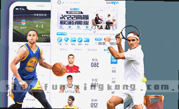 联系支持获取帮助